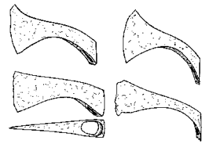 Głowice toporków bojowych. Źródło: Wikipedia,